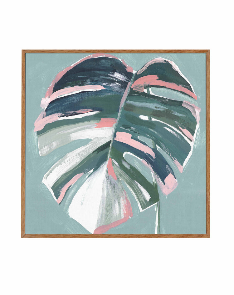 Monstera I SQ Framed Canvas-CANVAS-You can shop wall art online with CANVAS Art Print Co for everything from abstract art to fun kids wall art. Our beautiful modern art prints and canvas art are available from large canvas prints to wall art paintings and our proudly Australian artwork collection offers only the highest quality framed large wall art and canvas art Australia - You can buy fashion photography prints or Hampton print posters and paintings on canvas from CANVAS Art Print Co and have them deli
