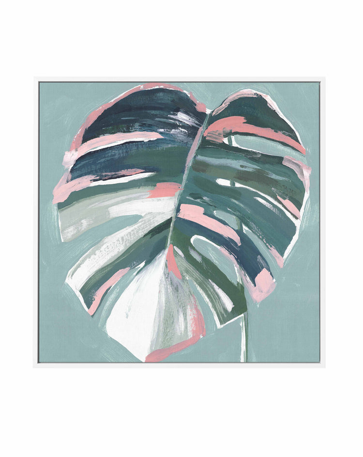 Monstera I SQ Framed Canvas-CANVAS-You can shop wall art online with CANVAS Art Print Co for everything from abstract art to fun kids wall art. Our beautiful modern art prints and canvas art are available from large canvas prints to wall art paintings and our proudly Australian artwork collection offers only the highest quality framed large wall art and canvas art Australia - You can buy fashion photography prints or Hampton print posters and paintings on canvas from CANVAS Art Print Co and have them deli