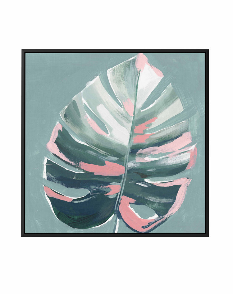 Monstera II SQ Framed Canvas-CANVAS-You can shop wall art online with CANVAS Art Print Co for everything from abstract art to fun kids wall art. Our beautiful modern art prints and canvas art are available from large canvas prints to wall art paintings and our proudly Australian artwork collection offers only the highest quality framed large wall art and canvas art Australia - You can buy fashion photography prints or Hampton print posters and paintings on canvas from CANVAS Art Print Co and have them del