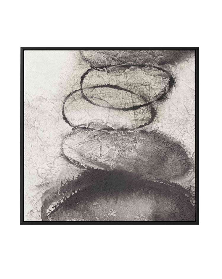 Origins I SQ Framed Canvas-CANVAS-You can shop wall art online with CANVAS Art Print Co for everything from abstract art to fun kids wall art. Our beautiful modern art prints and canvas art are available from large canvas prints to wall art paintings and our proudly Australian artwork collection offers only the highest quality framed large wall art and canvas art Australia - You can buy fashion photography prints or Hampton print posters and paintings on canvas from CANVAS Art Print Co and have them deliv