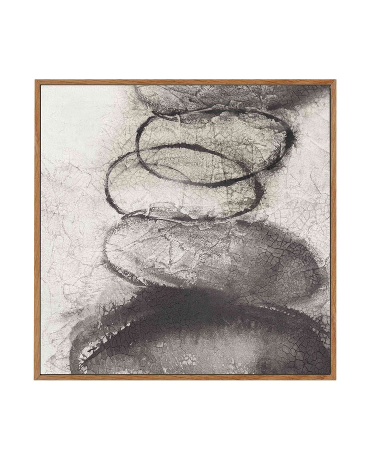 Origins I SQ Framed Canvas-CANVAS-You can shop wall art online with CANVAS Art Print Co for everything from abstract art to fun kids wall art. Our beautiful modern art prints and canvas art are available from large canvas prints to wall art paintings and our proudly Australian artwork collection offers only the highest quality framed large wall art and canvas art Australia - You can buy fashion photography prints or Hampton print posters and paintings on canvas from CANVAS Art Print Co and have them deliv