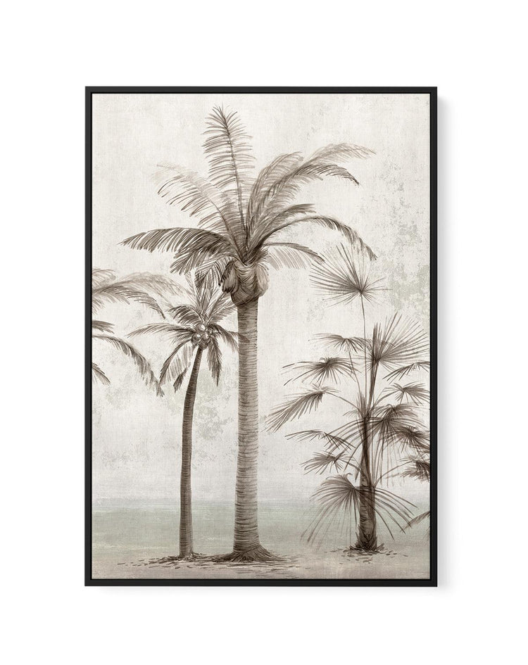 Tropic Palm I | Framed Canvas-CANVAS-You can shop wall art online with CANVAS Art Print Co for everything from abstract art to fun kids wall art. Our beautiful modern art prints and canvas art are available from large canvas prints to wall art paintings and our proudly Australian artwork collection offers only the highest quality framed large wall art and canvas art Australia - You can buy fashion photography prints or Hampton print posters and paintings on canvas from CANVAS Art Print Co and have them de