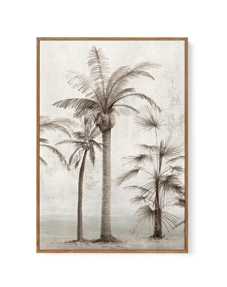 Tropic Palm I | Framed Canvas-CANVAS-You can shop wall art online with CANVAS Art Print Co for everything from abstract art to fun kids wall art. Our beautiful modern art prints and canvas art are available from large canvas prints to wall art paintings and our proudly Australian artwork collection offers only the highest quality framed large wall art and canvas art Australia - You can buy fashion photography prints or Hampton print posters and paintings on canvas from CANVAS Art Print Co and have them de