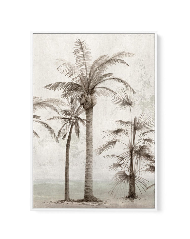 Tropic Palm I | Framed Canvas-CANVAS-You can shop wall art online with CANVAS Art Print Co for everything from abstract art to fun kids wall art. Our beautiful modern art prints and canvas art are available from large canvas prints to wall art paintings and our proudly Australian artwork collection offers only the highest quality framed large wall art and canvas art Australia - You can buy fashion photography prints or Hampton print posters and paintings on canvas from CANVAS Art Print Co and have them de