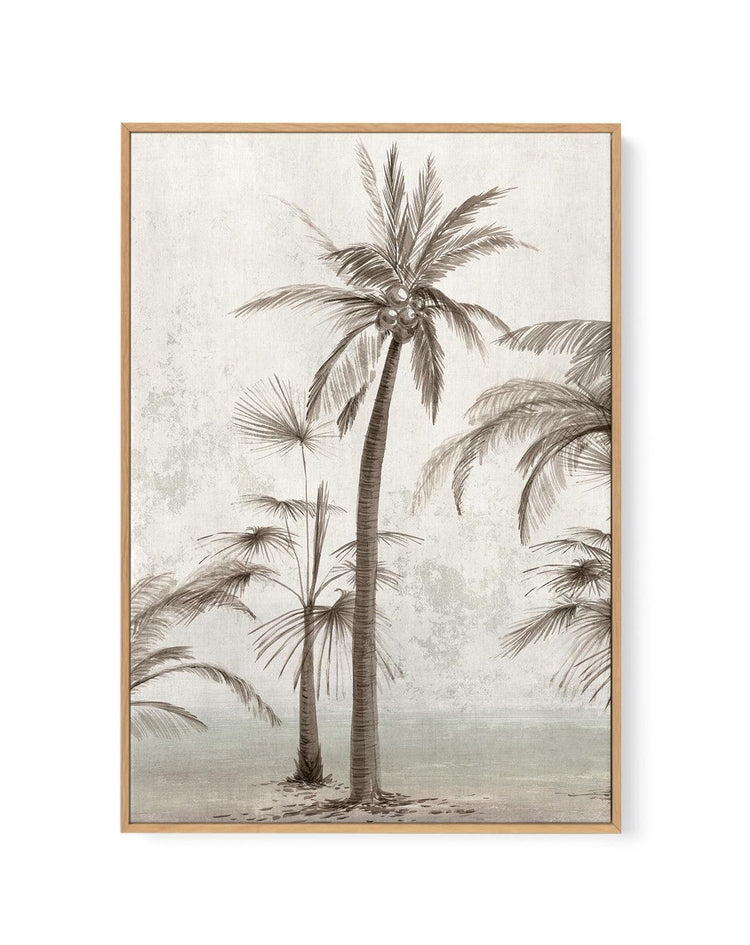 Tropic Palm II | Framed Canvas-CANVAS-You can shop wall art online with CANVAS Art Print Co for everything from abstract art to fun kids wall art. Our beautiful modern art prints and canvas art are available from large canvas prints to wall art paintings and our proudly Australian artwork collection offers only the highest quality framed large wall art and canvas art Australia - You can buy fashion photography prints or Hampton print posters and paintings on canvas from CANVAS Art Print Co and have them d