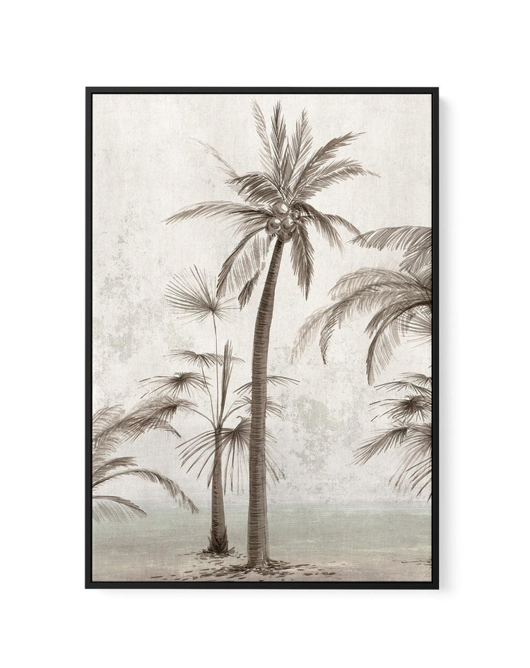 Tropic Palm II | Framed Canvas-CANVAS-You can shop wall art online with CANVAS Art Print Co for everything from abstract art to fun kids wall art. Our beautiful modern art prints and canvas art are available from large canvas prints to wall art paintings and our proudly Australian artwork collection offers only the highest quality framed large wall art and canvas art Australia - You can buy fashion photography prints or Hampton print posters and paintings on canvas from CANVAS Art Print Co and have them d