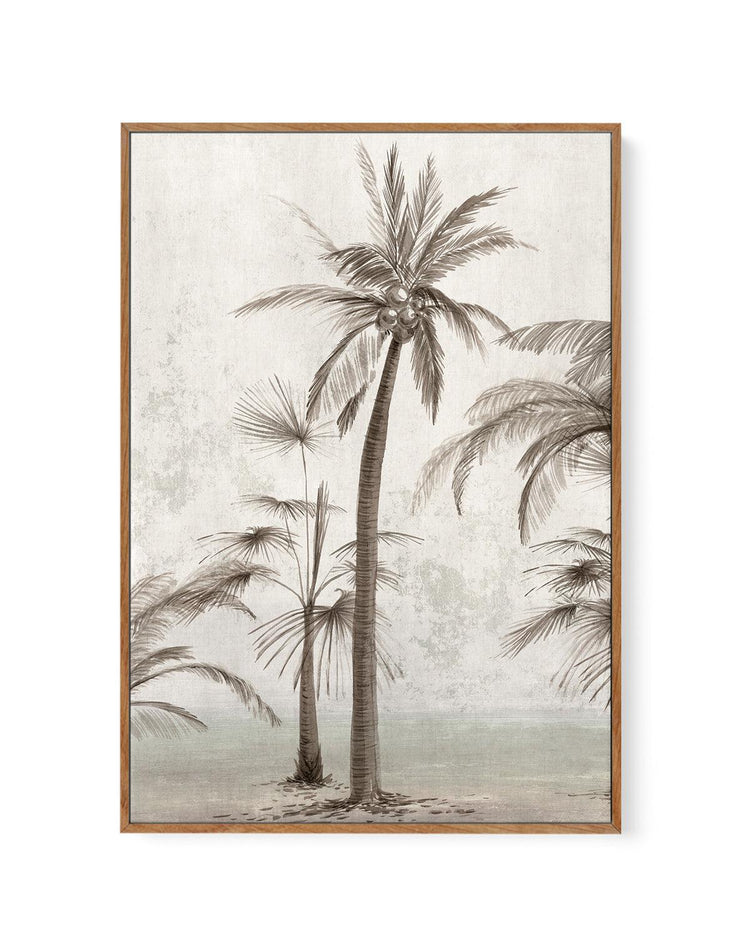Tropic Palm II | Framed Canvas-CANVAS-You can shop wall art online with CANVAS Art Print Co for everything from abstract art to fun kids wall art. Our beautiful modern art prints and canvas art are available from large canvas prints to wall art paintings and our proudly Australian artwork collection offers only the highest quality framed large wall art and canvas art Australia - You can buy fashion photography prints or Hampton print posters and paintings on canvas from CANVAS Art Print Co and have them d