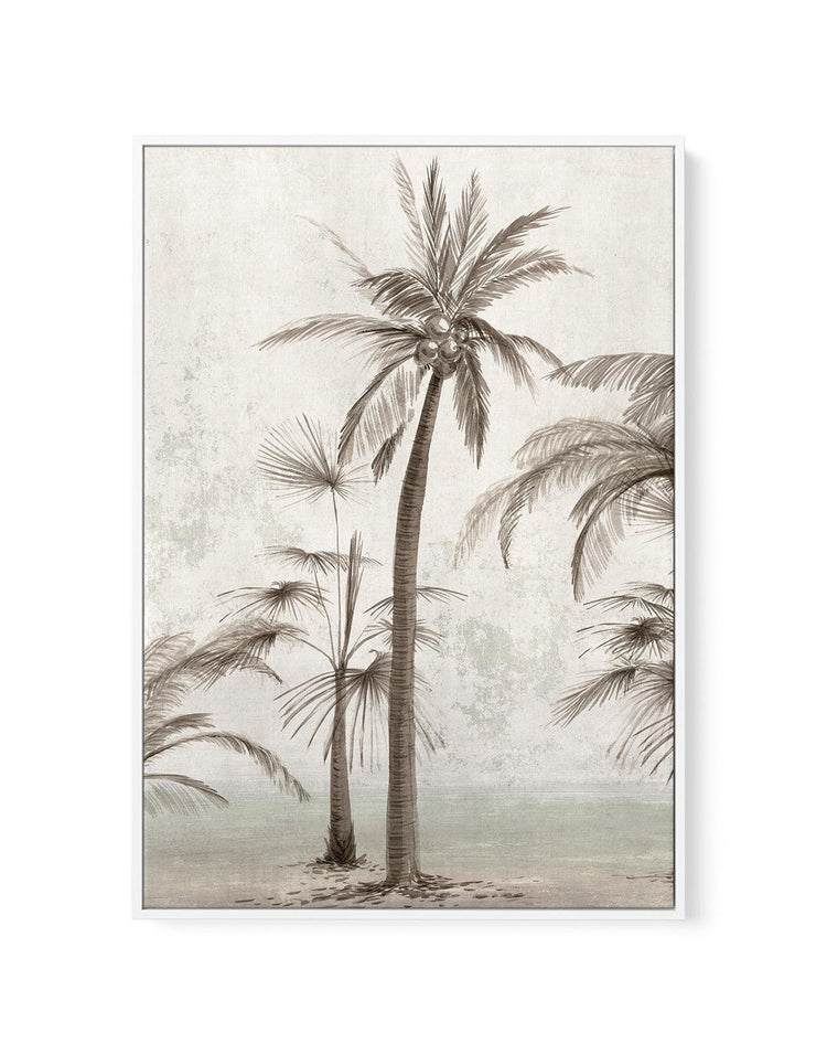 Tropic Palm II | Framed Canvas-CANVAS-You can shop wall art online with CANVAS Art Print Co for everything from abstract art to fun kids wall art. Our beautiful modern art prints and canvas art are available from large canvas prints to wall art paintings and our proudly Australian artwork collection offers only the highest quality framed large wall art and canvas art Australia - You can buy fashion photography prints or Hampton print posters and paintings on canvas from CANVAS Art Print Co and have them d