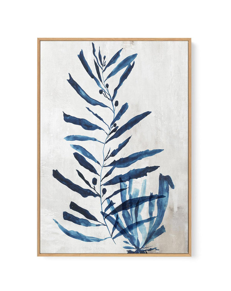 Watercolour Sea Kelp I | Framed Canvas-CANVAS-You can shop wall art online with CANVAS Art Print Co for everything from abstract art to fun kids wall art. Our beautiful modern art prints and canvas art are available from large canvas prints to wall art paintings and our proudly Australian artwork collection offers only the highest quality framed large wall art and canvas art Australia - You can buy fashion photography prints or Hampton print posters and paintings on canvas from CANVAS Art Print Co and hav