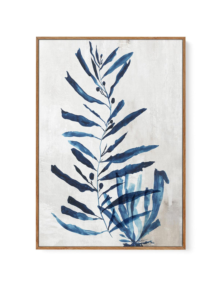 Watercolour Sea Kelp I | Framed Canvas-CANVAS-You can shop wall art online with CANVAS Art Print Co for everything from abstract art to fun kids wall art. Our beautiful modern art prints and canvas art are available from large canvas prints to wall art paintings and our proudly Australian artwork collection offers only the highest quality framed large wall art and canvas art Australia - You can buy fashion photography prints or Hampton print posters and paintings on canvas from CANVAS Art Print Co and hav