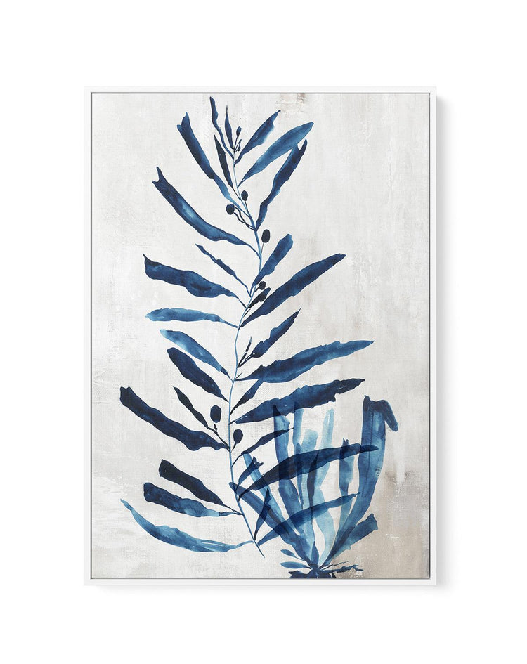 Watercolour Sea Kelp I | Framed Canvas-CANVAS-You can shop wall art online with CANVAS Art Print Co for everything from abstract art to fun kids wall art. Our beautiful modern art prints and canvas art are available from large canvas prints to wall art paintings and our proudly Australian artwork collection offers only the highest quality framed large wall art and canvas art Australia - You can buy fashion photography prints or Hampton print posters and paintings on canvas from CANVAS Art Print Co and hav