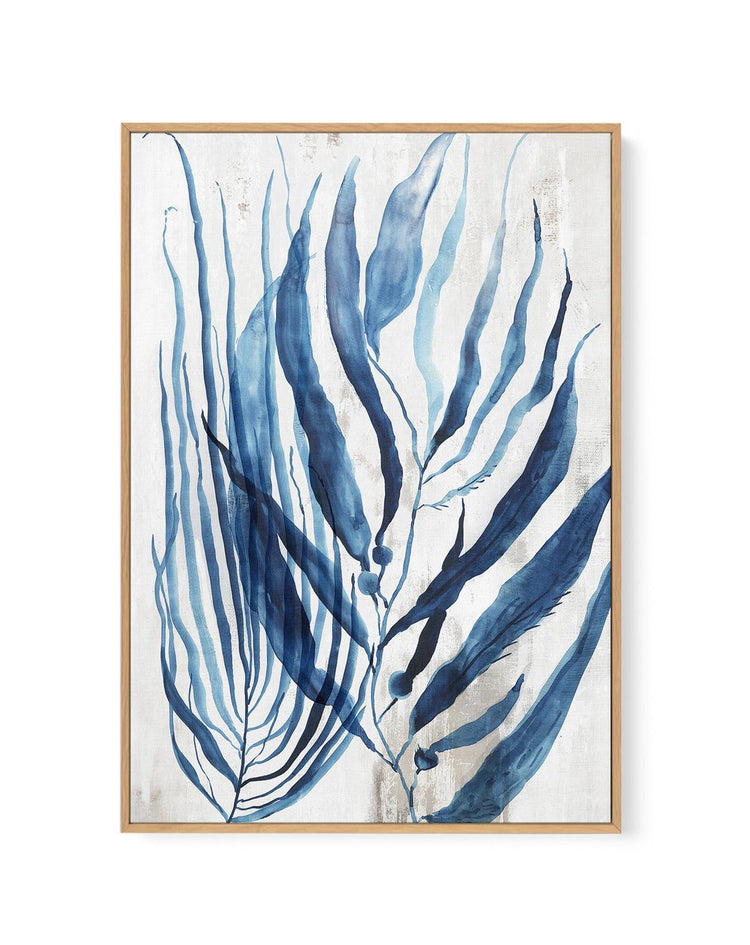 Watercolour Sea Kelp II | Framed Canvas-CANVAS-You can shop wall art online with CANVAS Art Print Co for everything from abstract art to fun kids wall art. Our beautiful modern art prints and canvas art are available from large canvas prints to wall art paintings and our proudly Australian artwork collection offers only the highest quality framed large wall art and canvas art Australia - You can buy fashion photography prints or Hampton print posters and paintings on canvas from CANVAS Art Print Co and ha
