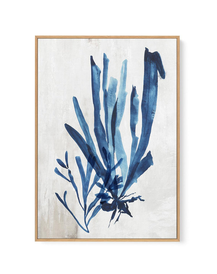 Watercolour Sea Kelp III | Framed Canvas-CANVAS-You can shop wall art online with CANVAS Art Print Co for everything from abstract art to fun kids wall art. Our beautiful modern art prints and canvas art are available from large canvas prints to wall art paintings and our proudly Australian artwork collection offers only the highest quality framed large wall art and canvas art Australia - You can buy fashion photography prints or Hampton print posters and paintings on canvas from CANVAS Art Print Co and h