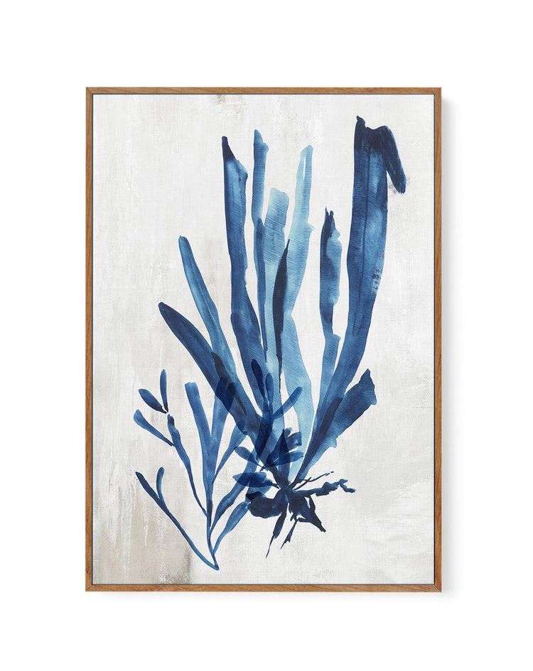 Watercolour Sea Kelp III | Framed Canvas-CANVAS-You can shop wall art online with CANVAS Art Print Co for everything from abstract art to fun kids wall art. Our beautiful modern art prints and canvas art are available from large canvas prints to wall art paintings and our proudly Australian artwork collection offers only the highest quality framed large wall art and canvas art Australia - You can buy fashion photography prints or Hampton print posters and paintings on canvas from CANVAS Art Print Co and h