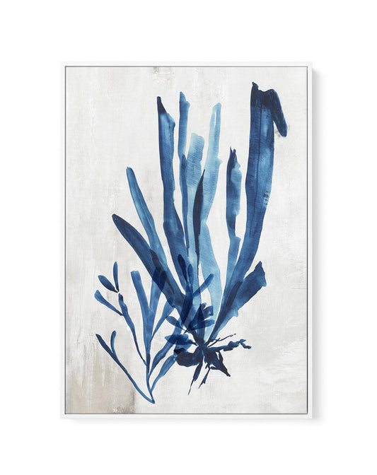 Watercolour Sea Kelp III | Framed Canvas-CANVAS-You can shop wall art online with CANVAS Art Print Co for everything from abstract art to fun kids wall art. Our beautiful modern art prints and canvas art are available from large canvas prints to wall art paintings and our proudly Australian artwork collection offers only the highest quality framed large wall art and canvas art Australia - You can buy fashion photography prints or Hampton print posters and paintings on canvas from CANVAS Art Print Co and h