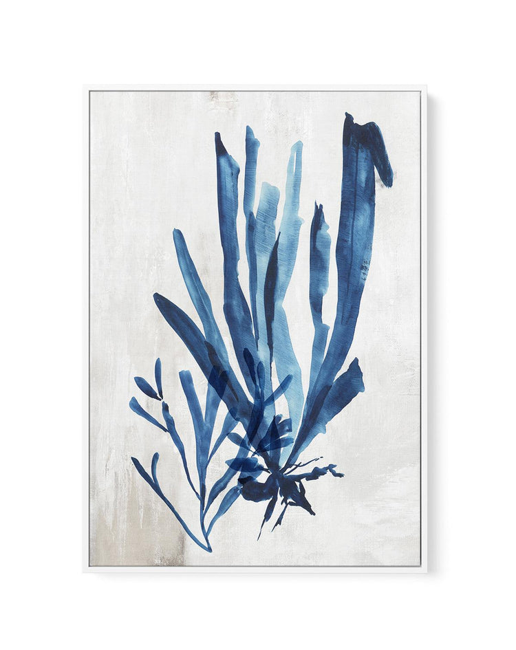 Watercolour Sea Kelp III | Framed Canvas-CANVAS-You can shop wall art online with CANVAS Art Print Co for everything from abstract art to fun kids wall art. Our beautiful modern art prints and canvas art are available from large canvas prints to wall art paintings and our proudly Australian artwork collection offers only the highest quality framed large wall art and canvas art Australia - You can buy fashion photography prints or Hampton print posters and paintings on canvas from CANVAS Art Print Co and h