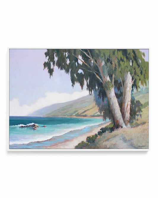 Central California Coast by Ed Penniman | Framed Canvas Art Print