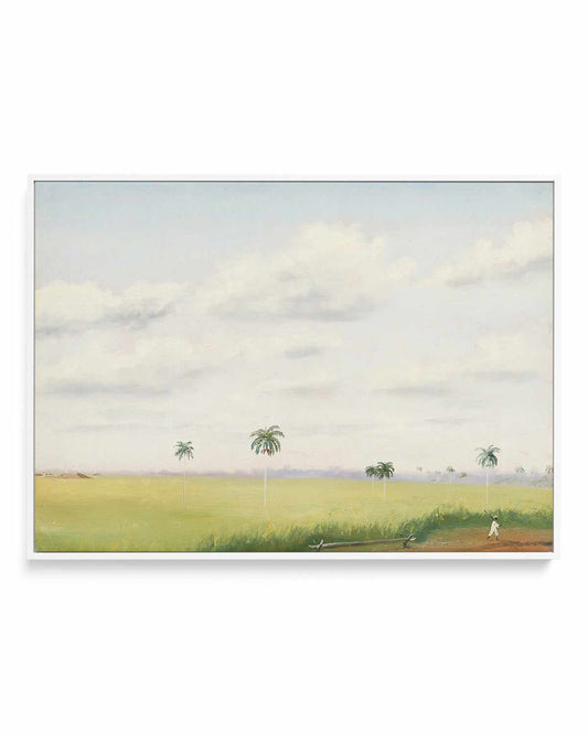 Cuban Farmer Vintage Painting | Framed Canvas Art Print
