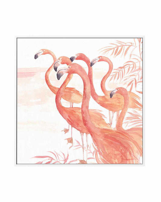 Flamingo Group I | Framed Canvas Art Print