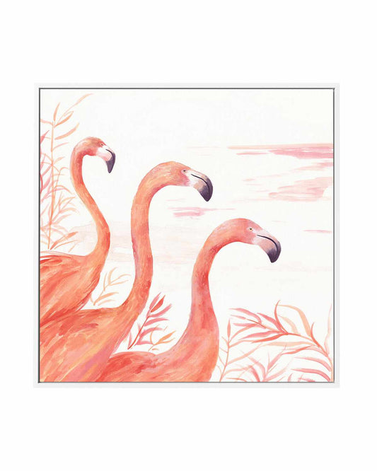 Flamingo Group II | Framed Canvas Art Print