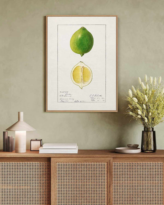 Lime Vintage Poster | Framed Canvas Art Print
