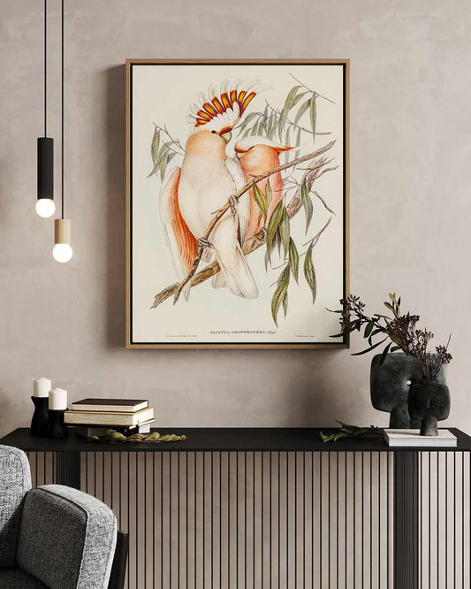 Major Mitchell Vintage Australian Bird Illustration | Framed Canvas Art Print