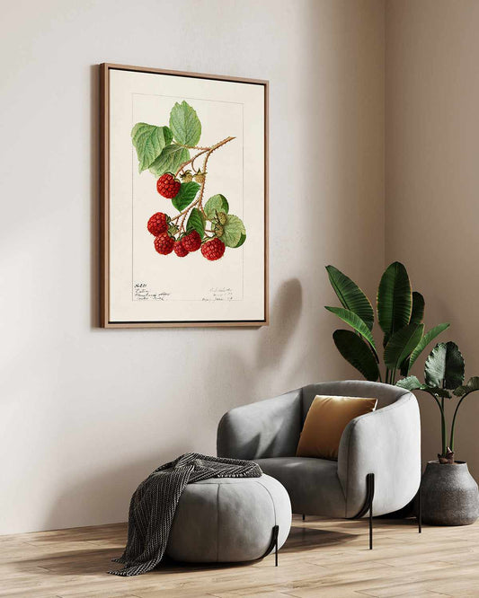 Raspberries Vintage Poster | Framed Canvas Art Print