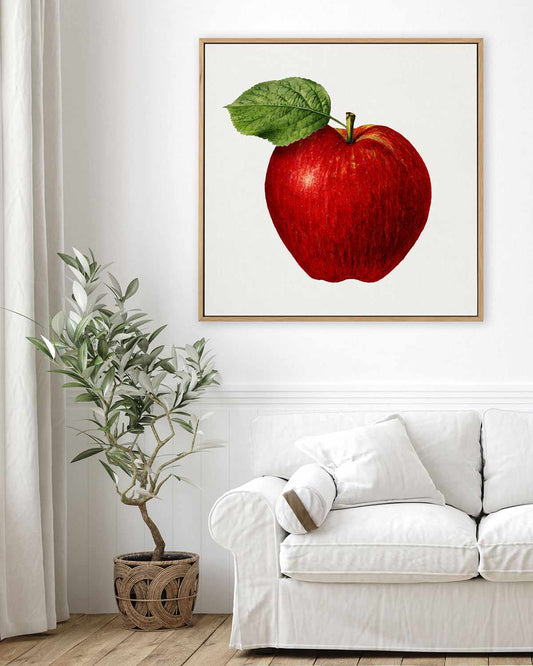 Red Apple Vintage Poster | Framed Canvas Art Print