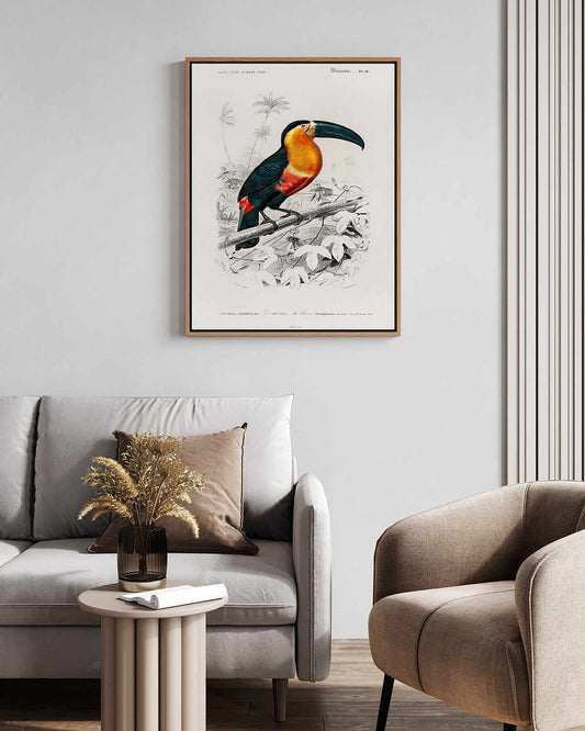 Toucan Vintage Illustration | Framed Canvas Art Print