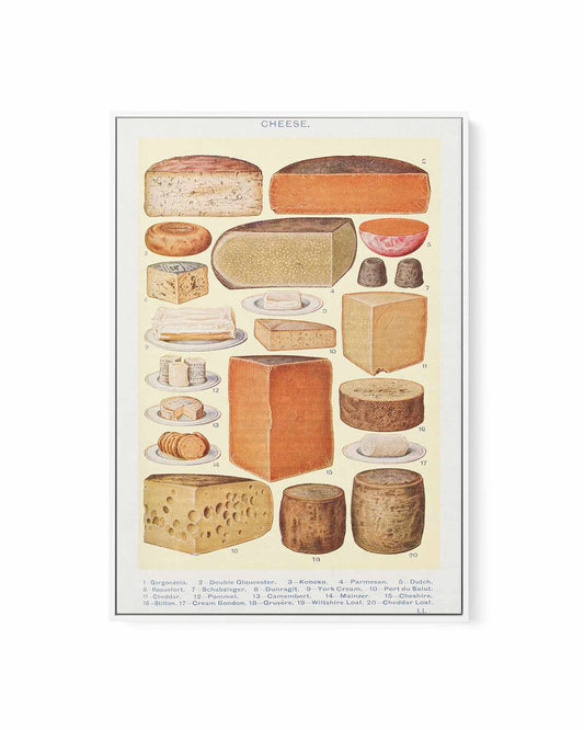 Vintage Cheeses Poster | Framed Canvas Art Print