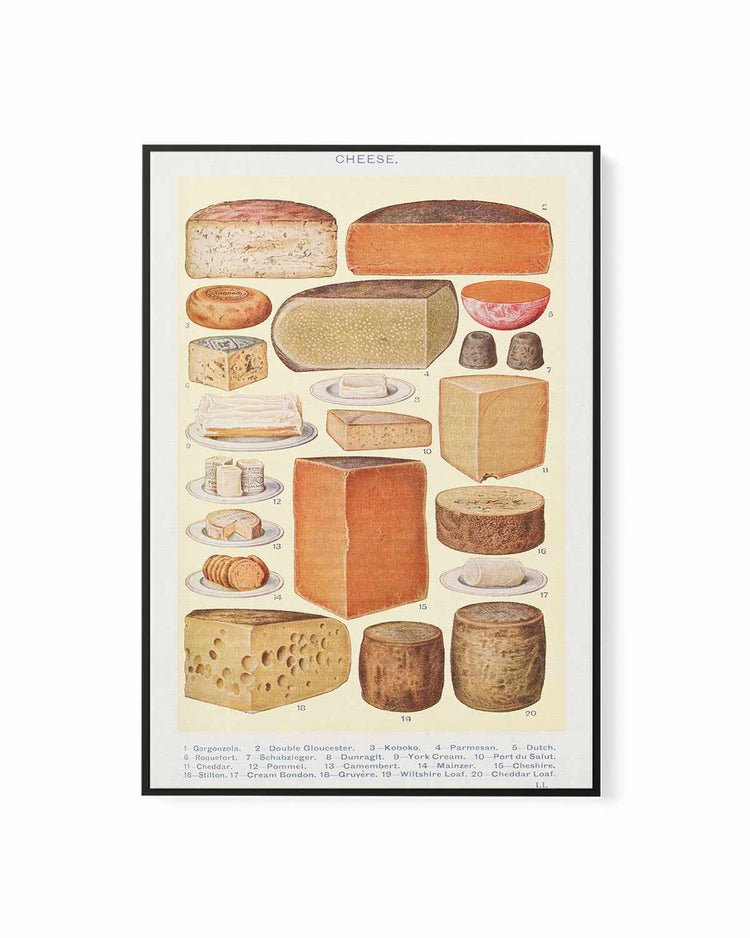 Vintage Cheeses Poster | Framed Canvas Art Print