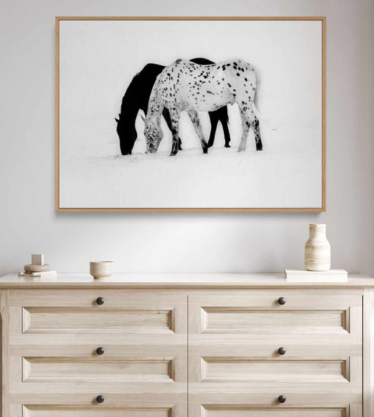 Winter Shadow | Framed Canvas Art Print