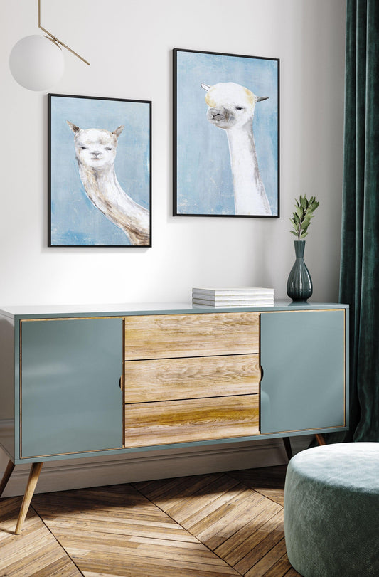 Llama on Blue II | Framed Canvas-CANVAS-You can shop wall art online with CANVAS Art Print Co for everything from abstract art to fun kids wall art. Our beautiful modern art prints and canvas art are available from large canvas prints to wall art paintings and our proudly Australian artwork collection offers only the highest quality framed large wall art and canvas art Australia - You can buy fashion photography prints or Hampton print posters and paintings on canvas from CANVAS Art Print Co and have them