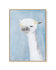 Llama on Blue II | Framed Canvas-CANVAS-You can shop wall art online with CANVAS Art Print Co for everything from abstract art to fun kids wall art. Our beautiful modern art prints and canvas art are available from large canvas prints to wall art paintings and our proudly Australian artwork collection offers only the highest quality framed large wall art and canvas art Australia - You can buy fashion photography prints or Hampton print posters and paintings on canvas from CANVAS Art Print Co and have them