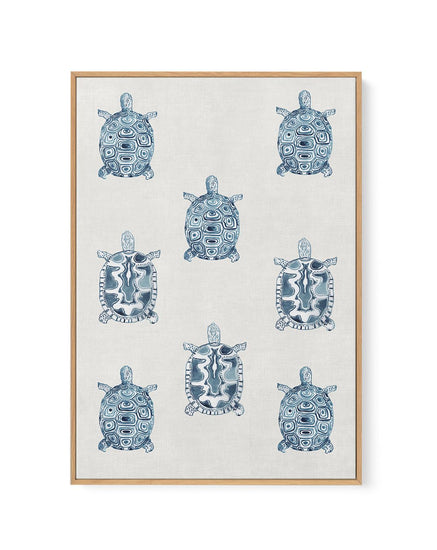 Marine Study 'Turtle' | Framed Canvas-CANVAS-You can shop wall art online with CANVAS Art Print Co for everything from abstract art to fun kids wall art. Our beautiful modern art prints and canvas art are available from large canvas prints to wall art paintings and our proudly Australian artwork collection offers only the highest quality framed large wall art and canvas art Australia - You can buy fashion photography prints or Hampton print posters and paintings on canvas from CANVAS Art Print Co and have