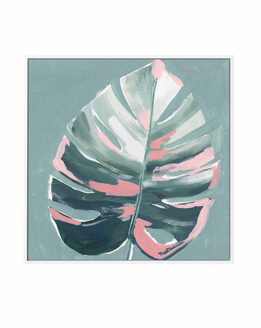 Monstera II SQ Framed Canvas-CANVAS-You can shop wall art online with CANVAS Art Print Co for everything from abstract art to fun kids wall art. Our beautiful modern art prints and canvas art are available from large canvas prints to wall art paintings and our proudly Australian artwork collection offers only the highest quality framed large wall art and canvas art Australia - You can buy fashion photography prints or Hampton print posters and paintings on canvas from CANVAS Art Print Co and have them del