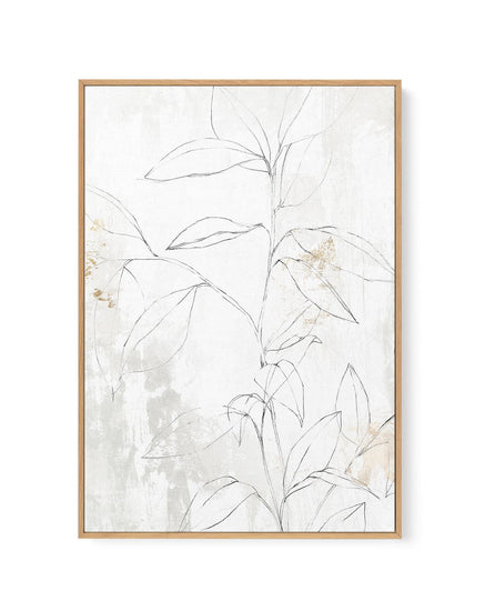 Neutral Botanic II | Framed Canvas-CANVAS-You can shop wall art online with CANVAS Art Print Co for everything from abstract art to fun kids wall art. Our beautiful modern art prints and canvas art are available from large canvas prints to wall art paintings and our proudly Australian artwork collection offers only the highest quality framed large wall art and canvas art Australia - You can buy fashion photography prints or Hampton print posters and paintings on canvas from CANVAS Art Print Co and have th
