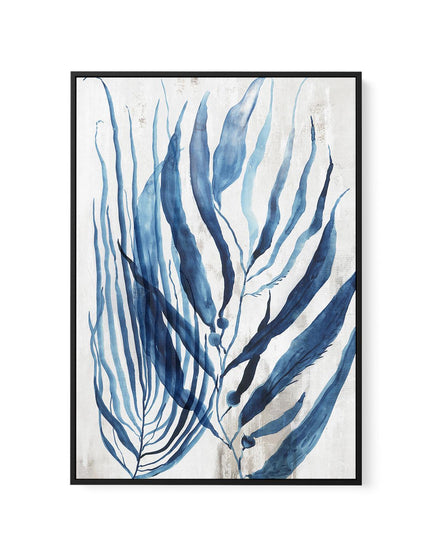 Watercolour Sea Kelp II | Framed Canvas-CANVAS-You can shop wall art online with CANVAS Art Print Co for everything from abstract art to fun kids wall art. Our beautiful modern art prints and canvas art are available from large canvas prints to wall art paintings and our proudly Australian artwork collection offers only the highest quality framed large wall art and canvas art Australia - You can buy fashion photography prints or Hampton print posters and paintings on canvas from CANVAS Art Print Co and ha